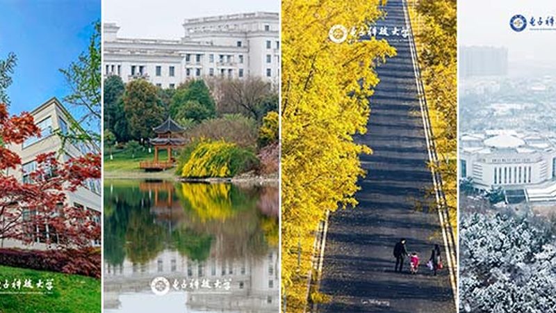 电子配件批发加盟，你需要了解的四大关键点